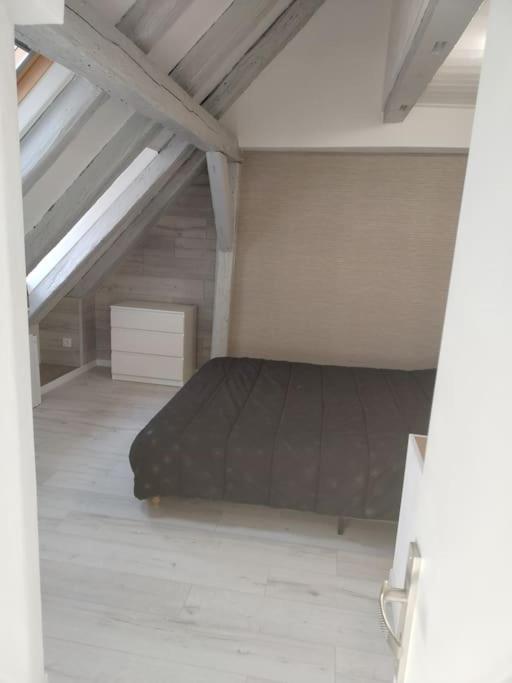 Charmant Appartement Cosy Sélestat Dış mekan fotoğraf