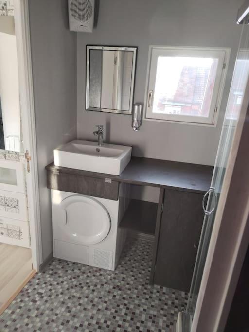 Charmant Appartement Cosy Sélestat Dış mekan fotoğraf