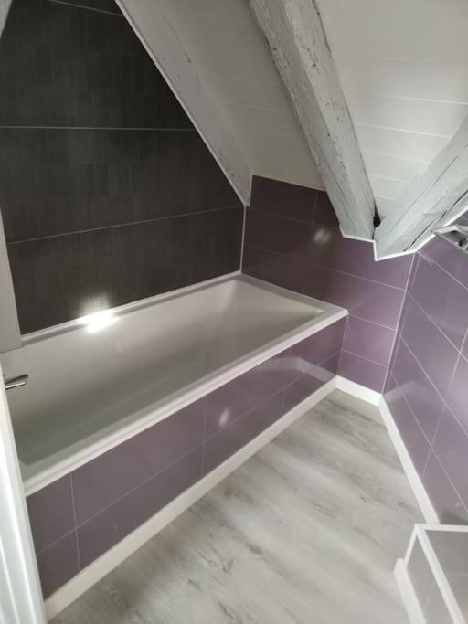 Charmant Appartement Cosy Sélestat Dış mekan fotoğraf