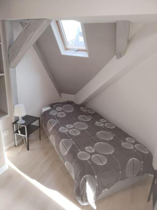 Charmant Appartement Cosy Sélestat Dış mekan fotoğraf